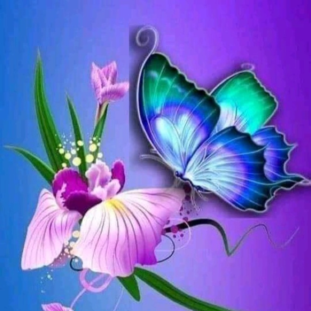 Meet your Posher, Papillon fashion